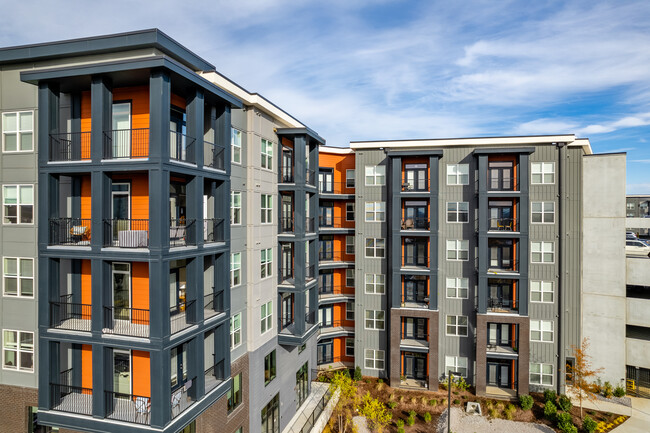 Cortland at the Nations in Nashville, TN - Foto de edificio - Building Photo