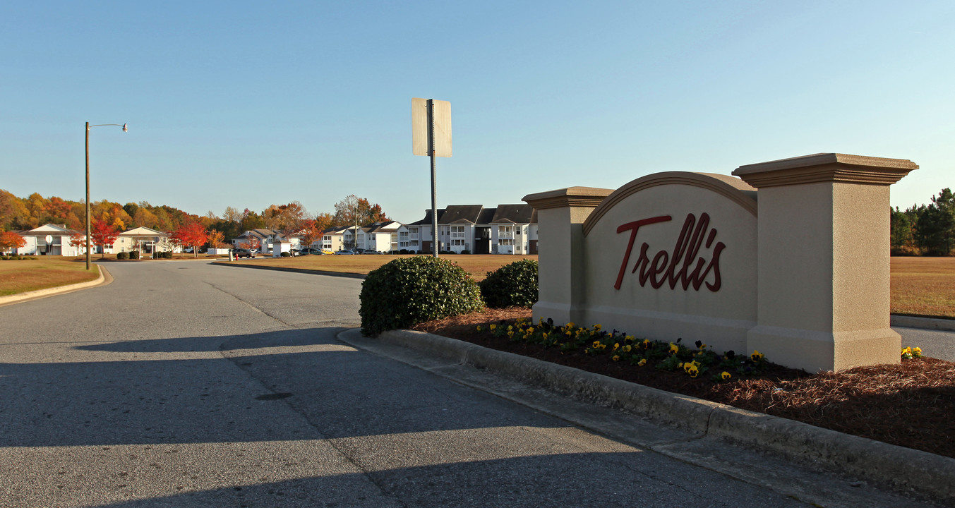 The Trellis Apartments in Greenville, NC - Building Photo