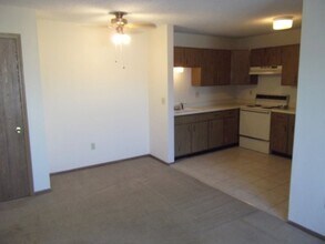 664 E Cherry St in Springfield, MO - Building Photo - Building Photo