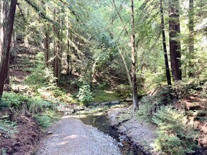 7079 Lucas Valley Rd in Nicasio, CA - Building Photo - Building Photo