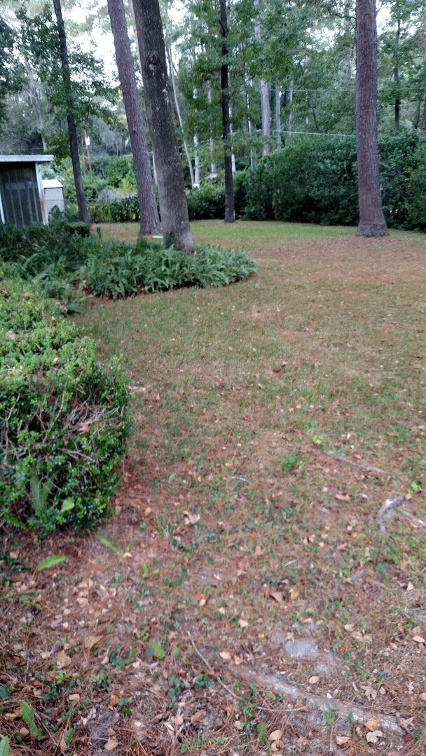 9230 NW 9 Ave in Gainesville, FL - Building Photo - Building Photo