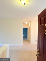 4137 Fountainside Ln in Fairfax, VA - Building Photo
