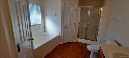 9 Elder Ct W in Homosassa, FL - Building Photo - Building Photo