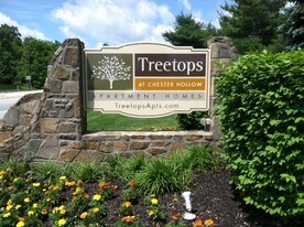 Treetops at ChesterHollow