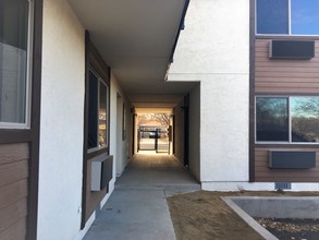 Locust Apartments in Reno, NV - Building Photo - Building Photo