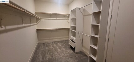 6716 Anton St in Tracy, CA - Building Photo - Building Photo