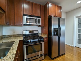 826 W Grace St, Unit 602 in Chicago, IL - Building Photo - Building Photo