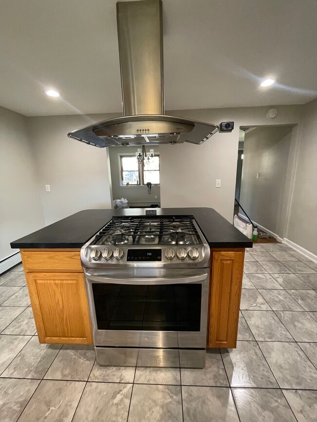 1009 Beechwood Ln in Vestal, NY - Building Photo - Building Photo