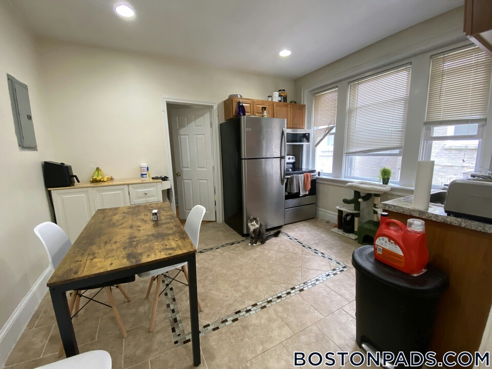 244 Kelton St in Boston, MA - Building Photo