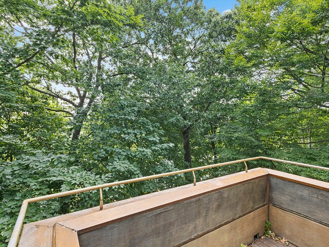 170 Rawson Rd, Unit #2 in Brookline, MA - Building Photo - Building Photo