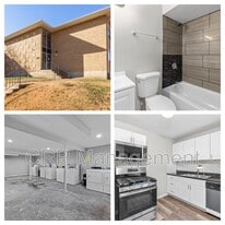 4263 Virginia Ave in St. Louis, MO - Building Photo