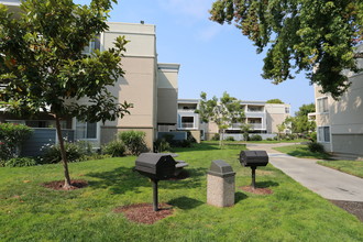 Summer House in Alameda, CA - Building Photo - Building Photo