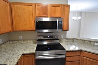 10909 Black Swan Ct in Seffner, FL - Building Photo - Building Photo