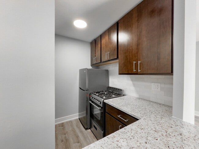 450 W Barry Ave in Chicago, IL - Building Photo - Building Photo