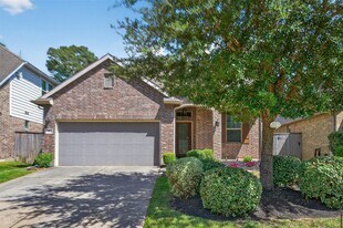 146 Kinnerly Peak Pl in Montgomery, TX - Building Photo