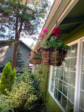 429 SW 116th Pl in Seattle, WA - Building Photo - Building Photo
