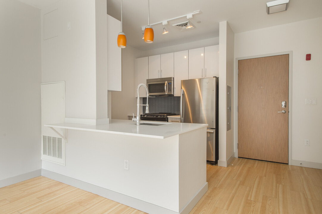 247 D St, Unit 31 in Boston, MA - Building Photo