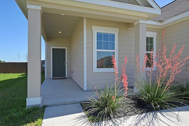 17812 Altesino Cv in Pflugerville, TX - Building Photo - Building Photo