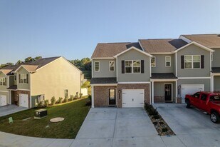 333 Emma Victoria Wy in Sevierville, TN - Building Photo