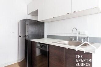 2756 N Pine Grove Ave in Chicago, IL - Building Photo - Building Photo