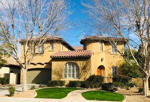 1150 W Silver Creek Rd in Gilbert, AZ - Building Photo