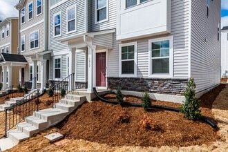 1017 Hemlock Cone Wy in Morrisville, NC - Building Photo - Building Photo