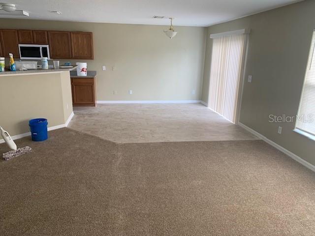 13516 Mango Bay Dr in Riverview, FL - Building Photo - Building Photo