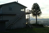 Rainier Sound View Apartments in Tacoma, WA - Building Photo - Other