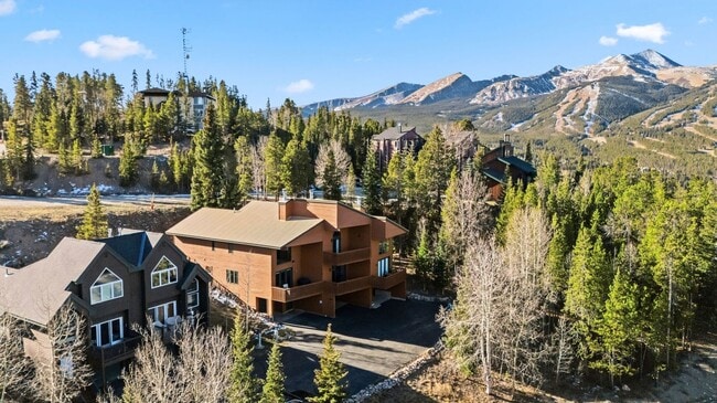 1682 Boreas Pass Rd in Breckenridge, CO - Building Photo - Building Photo