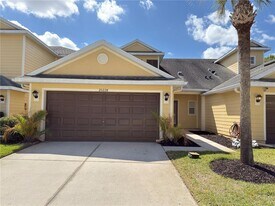 20228 Indian Rosewood Dr in Tampa, FL - Building Photo