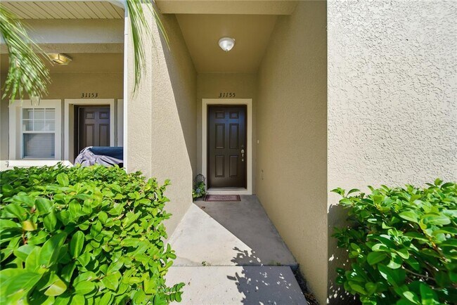 31155 Flannery Ct in Wesley Chapel, FL - Building Photo - Building Photo