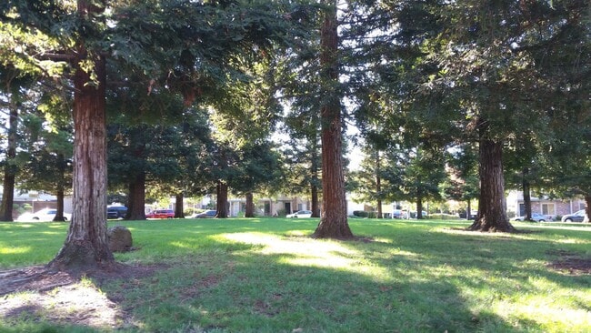 3715 Northwood Dr. in Concord, CA - Building Photo - Building Photo