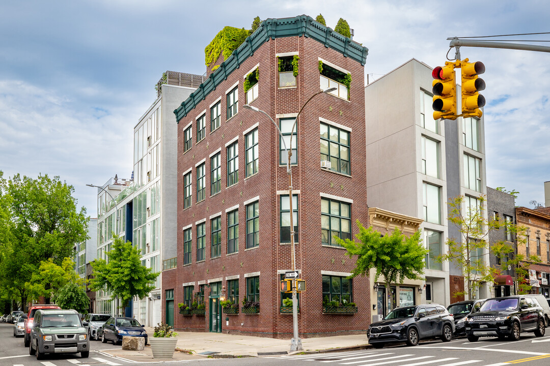 587 Washington Ave in Brooklyn, NY - Building Photo