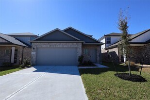 8579 Blueberry Ash St in Magnolia, TX - Building Photo