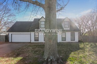 7215 Grapevine Cove in Bartlett, TN - Building Photo