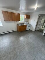 21 Pine St, Unit 1L in Monticello, NY - Building Photo