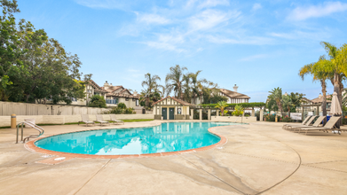 662 Sweet Pea Pl in Encinitas, CA - Building Photo - Building Photo