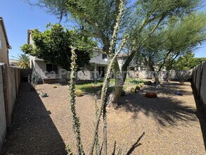 491 W Ebony Way in Chandler, AZ - Building Photo - Building Photo