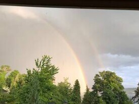 7942 Lake View Ln in Mercer Island, WA - Building Photo