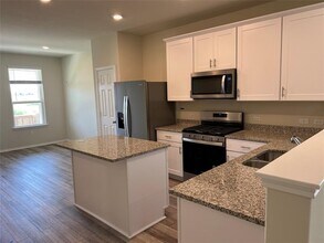 561 Papaya Dr in Buda, TX - Building Photo - Building Photo