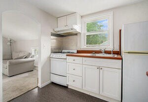 515 3rd St in Ann Arbor, MI - Building Photo - Building Photo