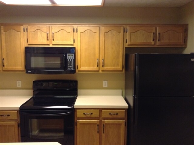 property at 1504 Mt Mitchell Ct