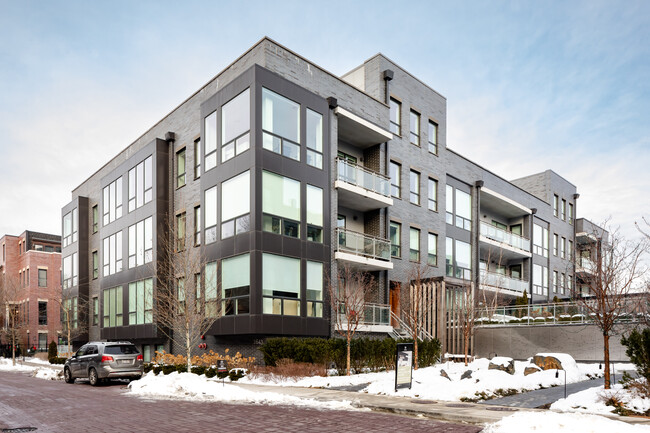 Norweta Row - Phase I in Chicago, IL - Foto de edificio - Building Photo