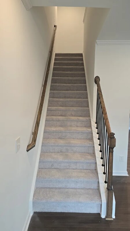 808 Basswood Gln Trl in Knightdale, NC - Building Photo - Building Photo