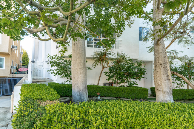 514 S Barrington Ave in Los Angeles, CA - Foto de edificio - Building Photo