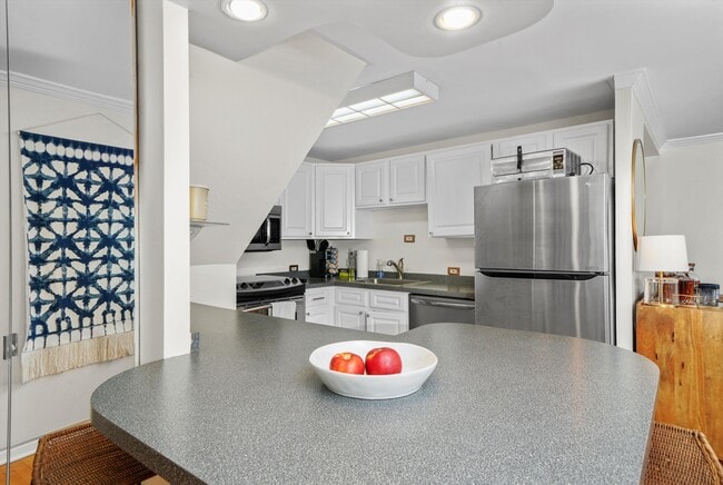 1221 N Dearborn St in Chicago, IL - Building Photo - Building Photo