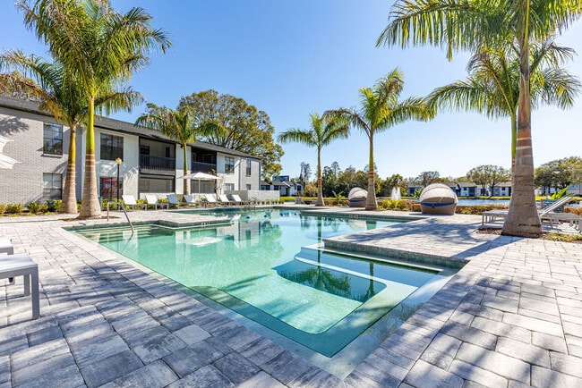 Avion at Carrollwood in Tampa, FL - Foto de edificio - Building Photo