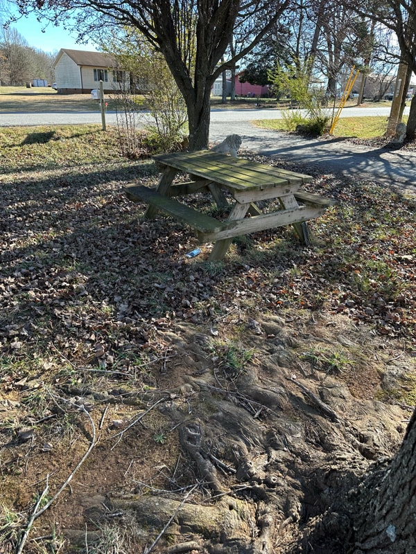 4621 Buffalo Shoals Rd in Maiden, NC - Foto de edificio - Building Photo