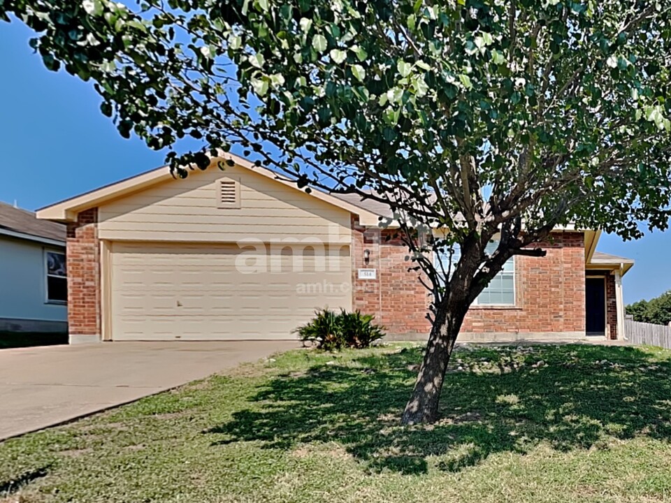 514 Dandelion Loop in Kyle, TX - Building Photo