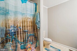 813 Petinot Pl in Stevensville, MD - Building Photo - Building Photo